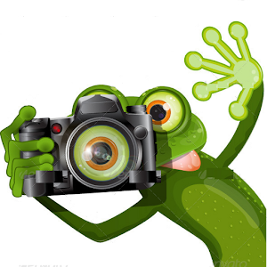 kikker fotograaf.png