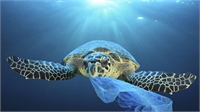 2018-09-15-pkBOE4-PKplasticsoup15-5-FC-web.jpg