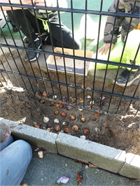 20201118_110316.jpg