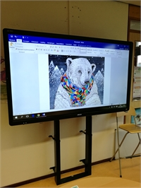 CTouch bord.jpg