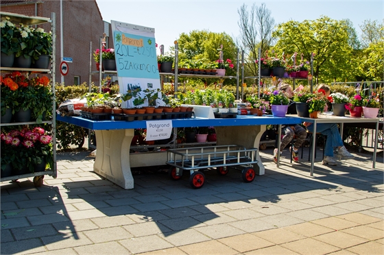 Kennedy plantjesactie dag 2-9242.jpg