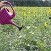 https://wskogezamenlijk.blob.core.windows.net/website/UploadBestanden/tn/Lotte-en-Fleur-860-860.jpg https://wskogezamenlijk.blob.core.windows.net/website/UploadBestanden/tn/Lotte-en-Fleur-860-860.jpg