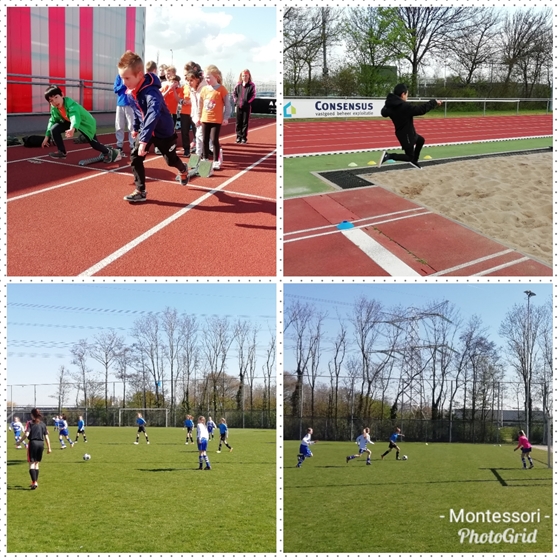 PhotoGrid_1555618734134.jpg