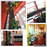 Planten in de school.jpg