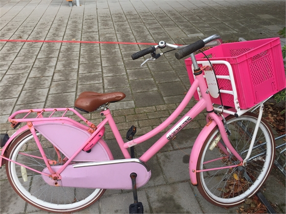 Roze fiets.JPG