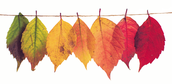 herfst1.png
