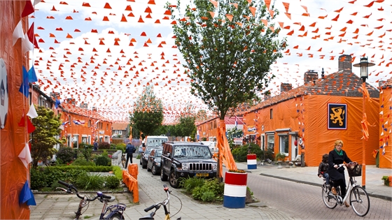 img1.jpg