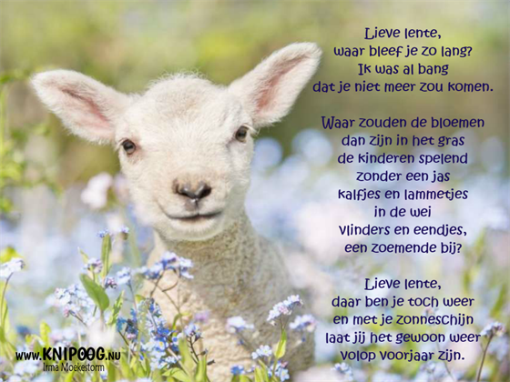 lieve-lente-1.png