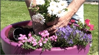 plantenpot.jpg