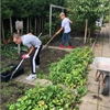 https://wskogezamenlijk.blob.core.windows.net/website/UploadBestanden/tn/site-5-860-860.jpg https://wskogezamenlijk.blob.core.windows.net/website/UploadBestanden/tn/site-5-860-860.jpg