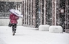 sneeuw-terug-in-het-zuiden-van-het-land1512985448-750x480.jpeg
